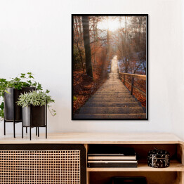 Plakat w ramie Opuszczone schody w lesie jesienią o zachodzie słońca