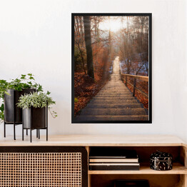 Obraz w ramie Opuszczone schody w lesie jesienią o zachodzie słońca