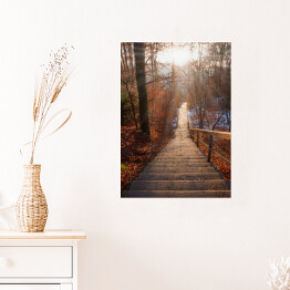 Plakat samoprzylepny Opuszczone schody w lesie jesienią o zachodzie słońca