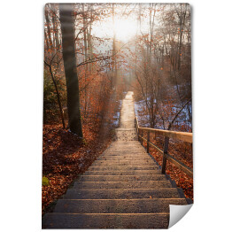 Fototapeta Opuszczone schody w lesie jesienią o zachodzie słońca