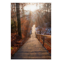 Plakat samoprzylepny Opuszczone schody w lesie jesienią o zachodzie słońca