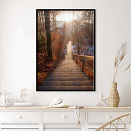 Plakat w ramie Opuszczone schody w lesie jesienią o zachodzie słońca
