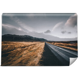 Fototapeta winylowa zmywalna Droga we mgle, Islandia
