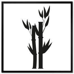 Plakat w ramie Bambus - czarno biała ilustracja