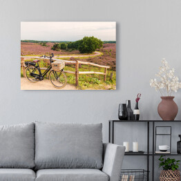 Obraz na płótnie Rower z wiklinowym koszem w Parku Narodowym The Veluwe, Holandia