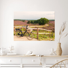 Plakat Rower z wiklinowym koszem w Parku Narodowym The Veluwe, Holandia