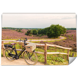 Fototapeta winylowa zmywalna Rower z wiklinowym koszem w Parku Narodowym The Veluwe, Holandia