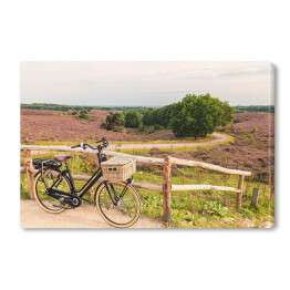 Obraz na płótnie Rower z wiklinowym koszem w Parku Narodowym The Veluwe, Holandia