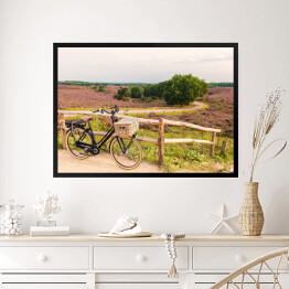 Obraz w ramie Rower z wiklinowym koszem w Parku Narodowym The Veluwe, Holandia