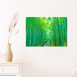 Plakat samoprzylepny Bambus - jasny las