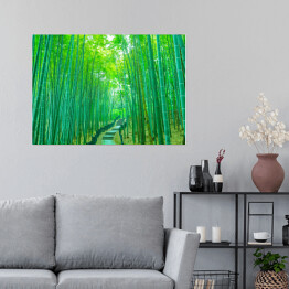 Plakat samoprzylepny Bambus - jasny las