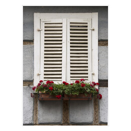 Stare okna z bialymi okiennicami, Alzacja, Francja