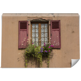 Stare okna z cieniowanymi drewnianymi okiennicami, Alzacja, Francja