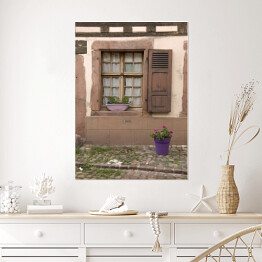 Stare okna i fioletowa donica z kwiatami, Alzacja, Francja