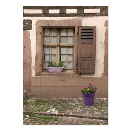 Stare okna i fioletowa donica z kwiatami, Alzacja, Francja