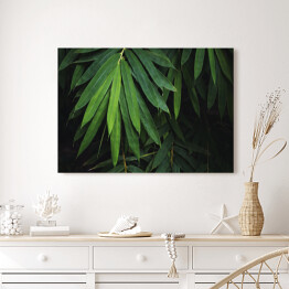 Obraz na płótnie Bambusowy liść na czarnym tle