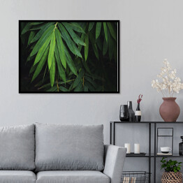 Plakat w ramie Bambusowy liść na czarnym tle
