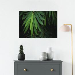 Plakat Bambusowy liść na czarnym tle