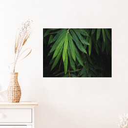 Plakat samoprzylepny Bambusowy liść na czarnym tle