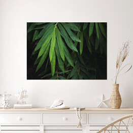 Plakat samoprzylepny Bambusowy liść na czarnym tle