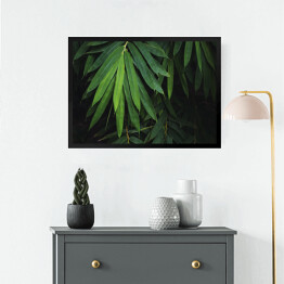 Obraz w ramie Bambusowy liść na czarnym tle