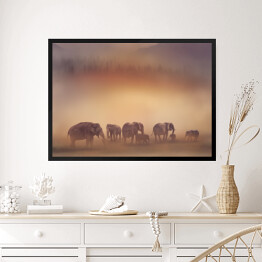 Obraz w ramie Słonie o zachodzie słońca