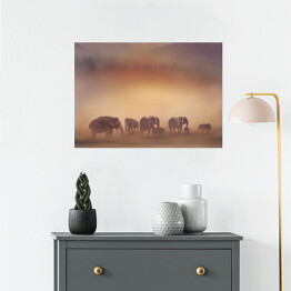 Plakat samoprzylepny Słonie o zachodzie słońca