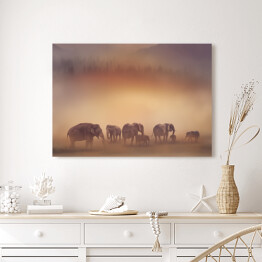 Obraz na płótnie Słonie o zachodzie słońca