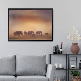 Obraz w ramie Słonie o zachodzie słońca