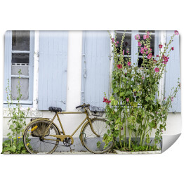 Fototapeta Rower przy ścianie wśród roślinności