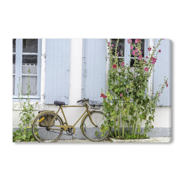 Obraz na płótnie Rower przy ścianie wśród roślinności