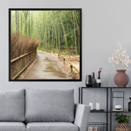 Obraz w ramie Mostek w bambusowym lesie w Kioto