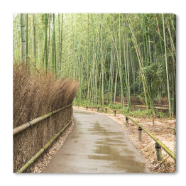 Obraz na płótnie Mostek w bambusowym lesie w Kioto