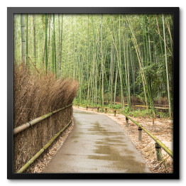 Obraz w ramie Mostek w bambusowym lesie w Kioto