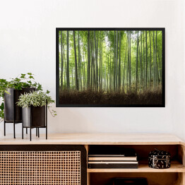 Obraz w ramie Ścieżka w bambusowym lesie w Kioto