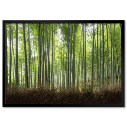 Plakat w ramie Ścieżka w bambusowym lesie w Kioto