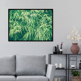 Plakat w ramie Bambusowe liście w przygaszonych kolorach