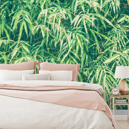 Fototapeta Bambusowe liście w przygaszonych kolorach