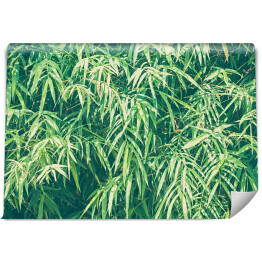Bambusowe liście w przygaszonych kolorach