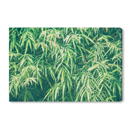 Bambusowe liście w przygaszonych kolorach