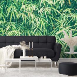 Fototapeta samoprzylepna Bambusowe liście w przygaszonych kolorach