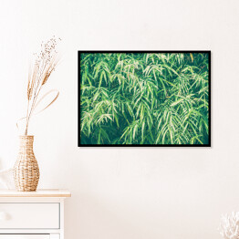 Plakat w ramie Bambusowe liście w przygaszonych kolorach