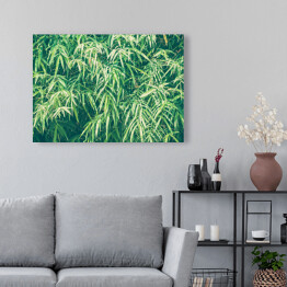 Obraz na płótnie Bambusowe liście w przygaszonych kolorach