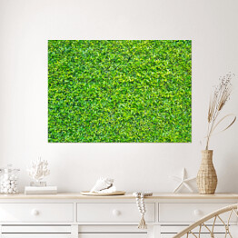 Plakat samoprzylepny Zielone liście - tło