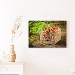 Obraz na płótnie Świeża marchewka w starym drewnianym pudełku