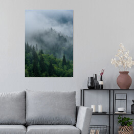 Plakat Wierzchołki drzew we mgle zakrywające las