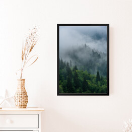 Obraz w ramie Wierzchołki drzew we mgle zakrywające las