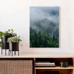 Obraz na płótnie Wierzchołki drzew we mgle zakrywające las