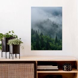 Plakat samoprzylepny Wierzchołki drzew we mgle zakrywające las