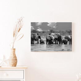 Obraz na płótnie Panorama stada słoni przy wodopoju - Narodowy Park Etosha, Namibia